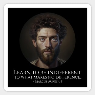 Learn to be indifferent to what makes no difference. - Marcus Aurelius Magnet